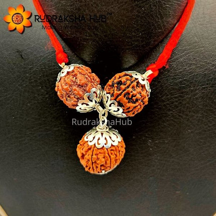 प्रशासकों के लिए रुद्राक्ष