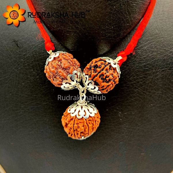 Rudraksha for Administrators