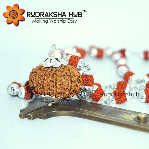 11 Mukhi Rudraksha in Silver Mala