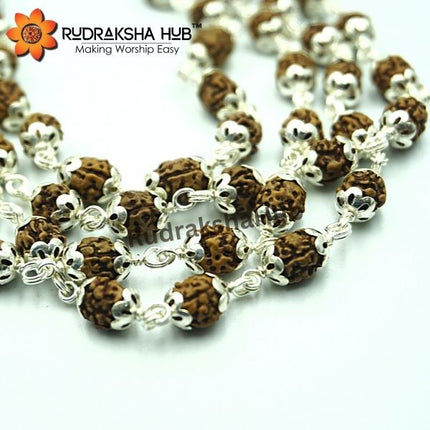 Rudraksha for General Health Benefits