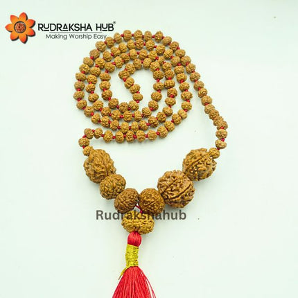 Rudraksha for Stability