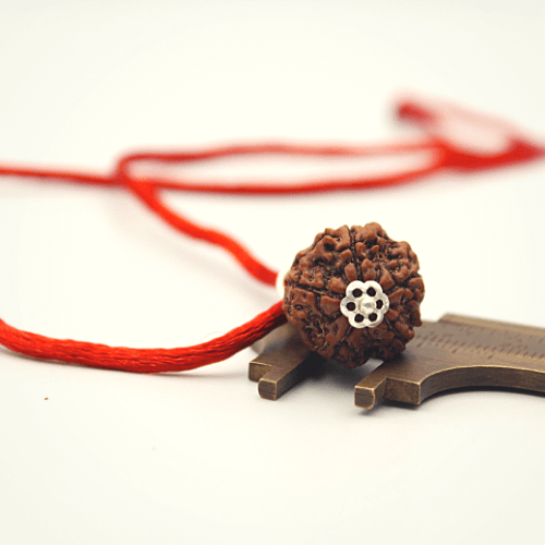 6 Mukhi Rudraksha Silver Pendant