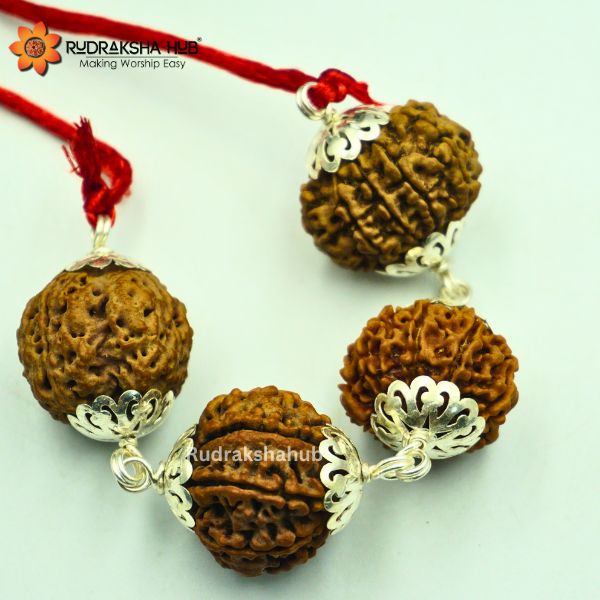 Rudraksha for Achievers
