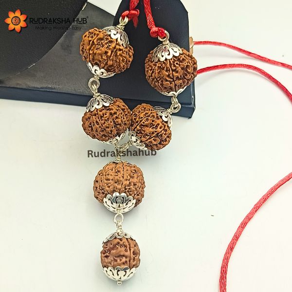 Rudraksha for Prevention and Protection