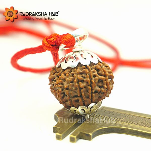 15 Mukhi Rudraksha Nepali Pendant