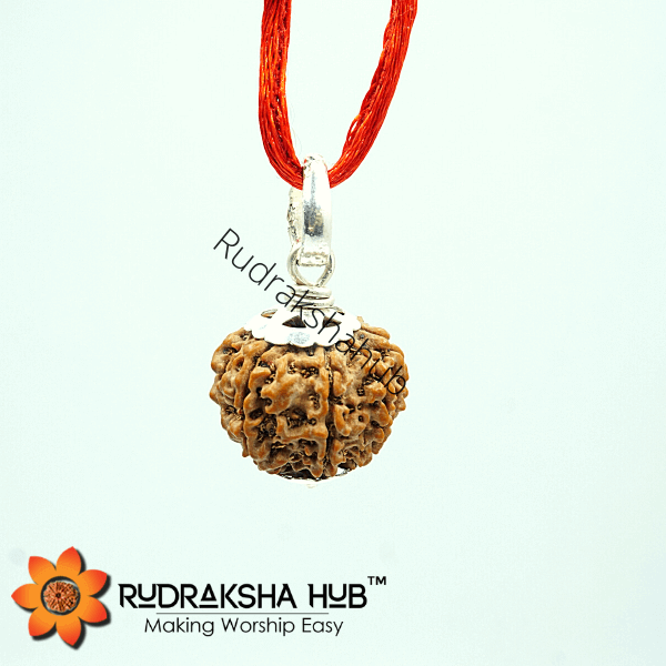 8 Mukhi Rudraksha Silver Pendant
