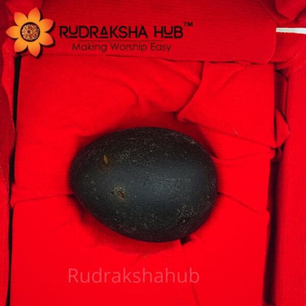 दिव्य गोपाल शालिग्राम