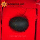 दिव्य गोपाल शालिग्राम