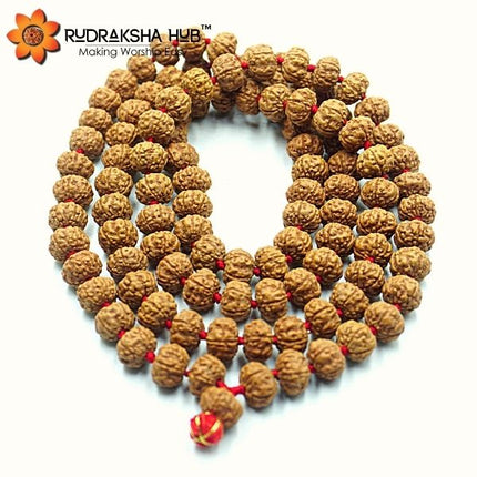 Rudraksha Jaap Mala 9mm