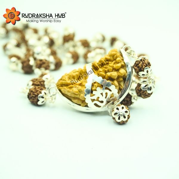 Rudraksha for Intelligence and Courage