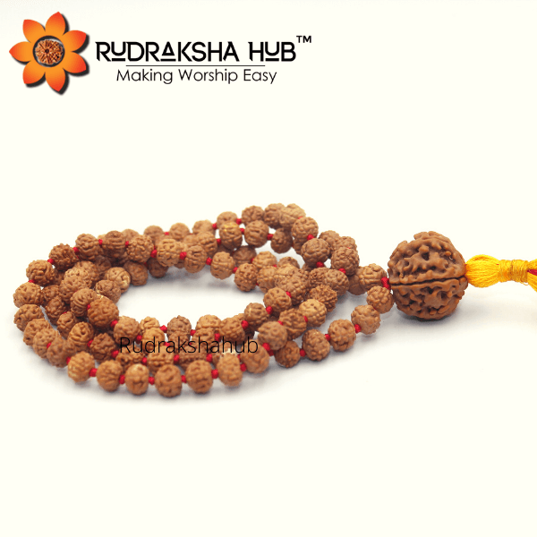 5 Mukhi Rudraksha Gurumala