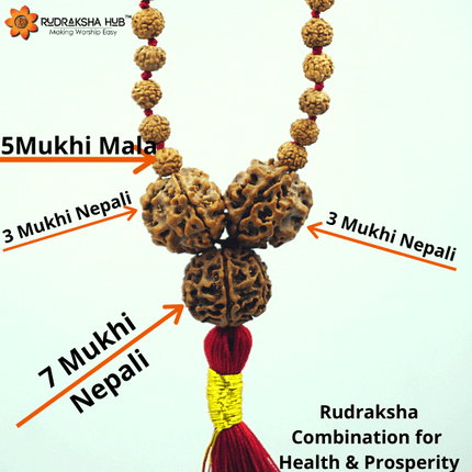 Rudraksha For Good Health & Prosperity