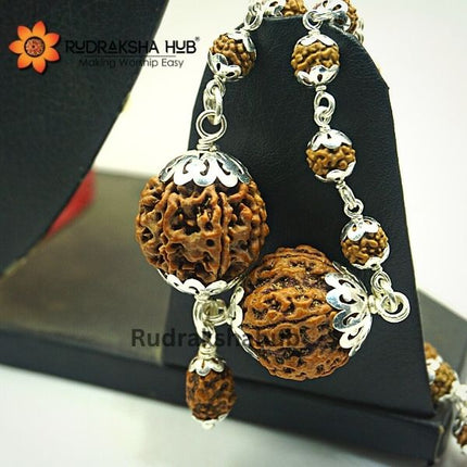 Rudraksha for Calmness