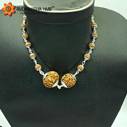 Rudraksha for Health and Success