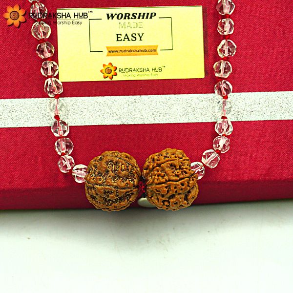 Rudraksha for Mental and Emotional Peace