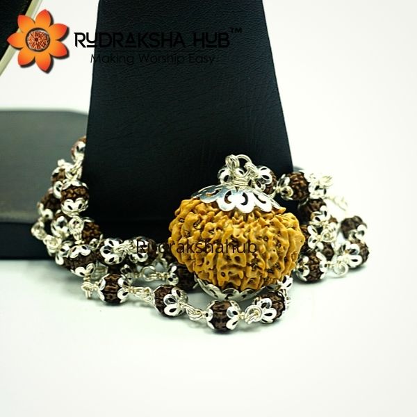 Rudraksha for Improved Fertility