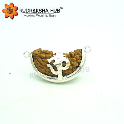 एक मुखी रुद्राक्ष (अर्धचंद्राकार)
