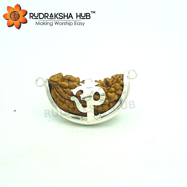 1 Mukhi Rudraksha (Half Moon)