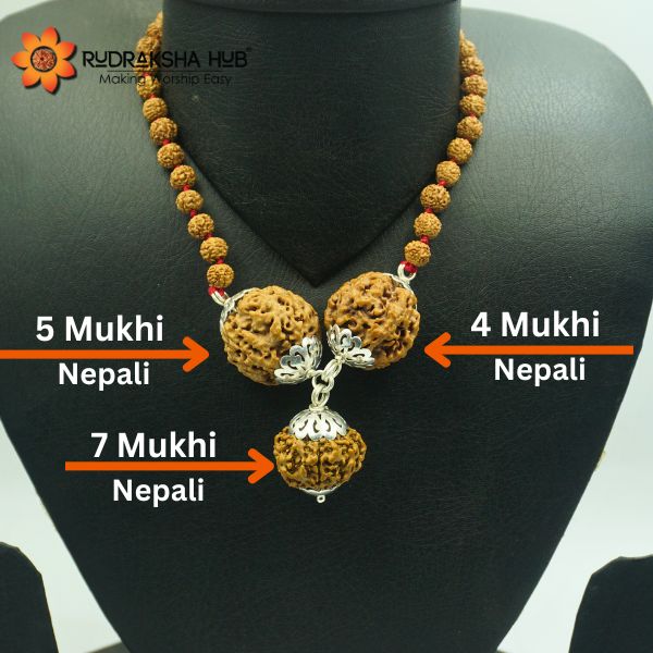Rudraksha for Family Safety