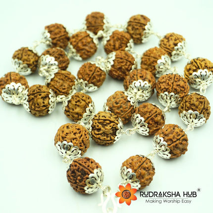 Rudraksha Kantha Mala Pure Silver Capped