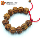 5 मुखी रुद्राक्ष कंगन (समायोज्य)