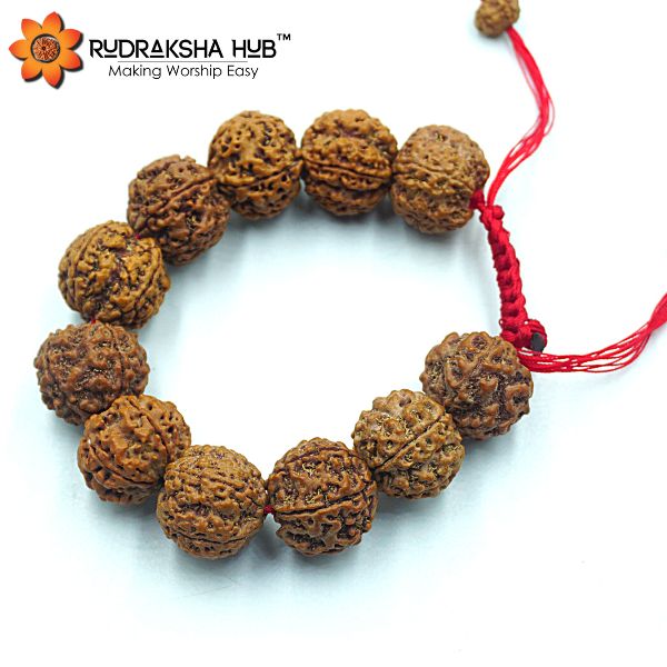 5 मुखी रुद्राक्ष कंगन (समायोज्य)
