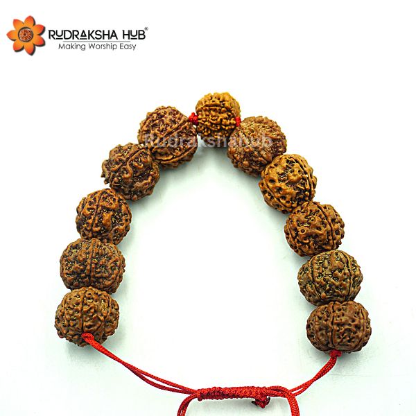 Rudraksha for Stable Relationships