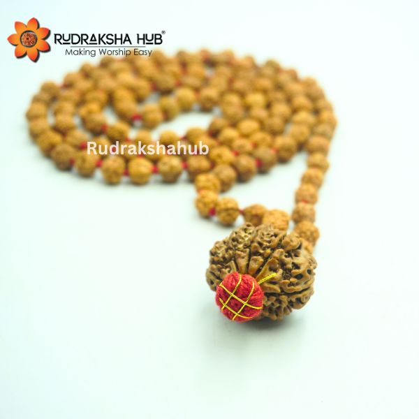 Rudraksha for Rahu Dosh