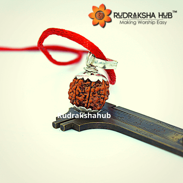 7 Mukhi Rudraksha Silver Pendant