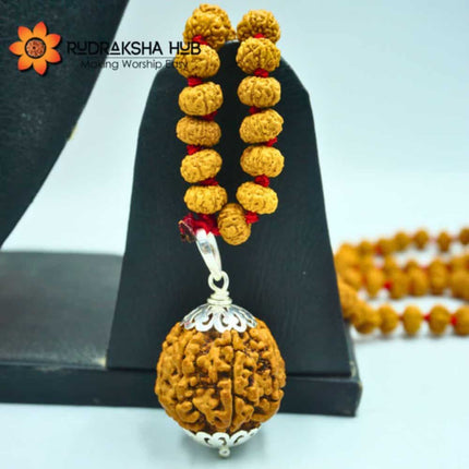 6 Mukhi Rudraksha Gurumala