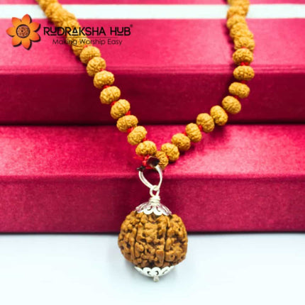 6 Mukhi Rudraksha Gurumala