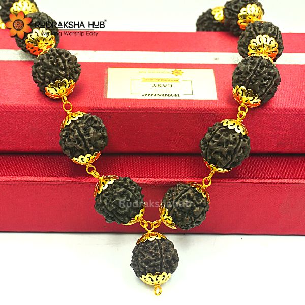 5 मुखी काला रुद्राक्ष कंथा माला (गोल्ड कैप्ड)