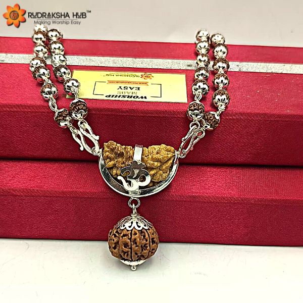 Rudraksha for Emotional Power
