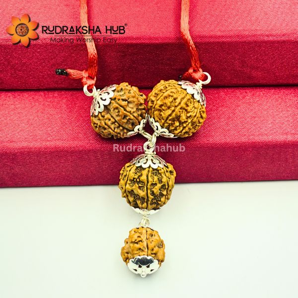 Rudraksha For Better Life