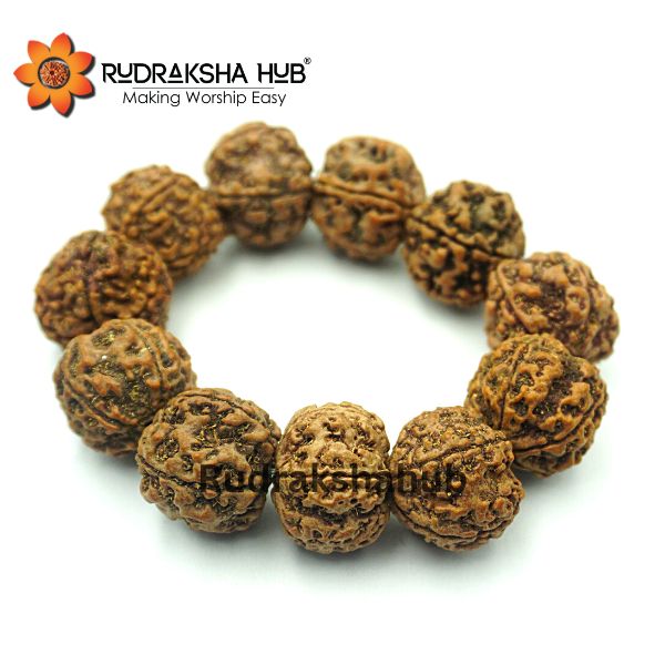 5 मुखी रुद्राक्ष कंगन (नेपाली)