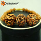 Rudraksha for Students