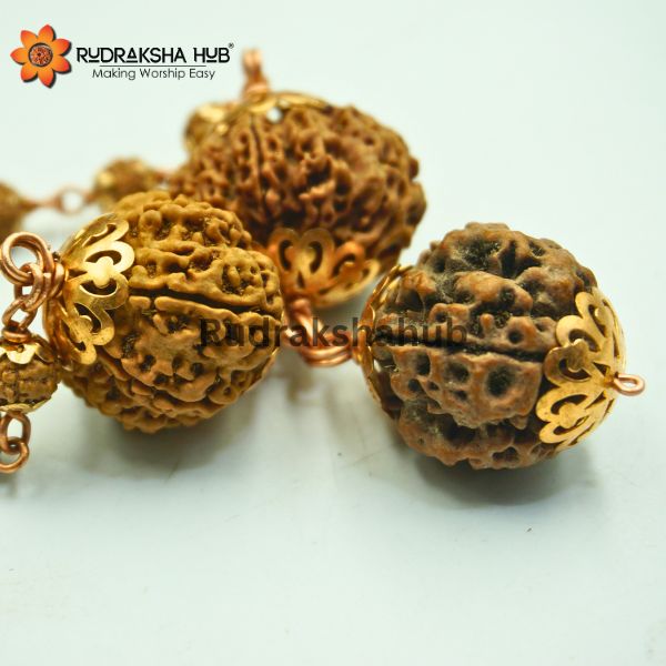 Rudraksha for Working Women