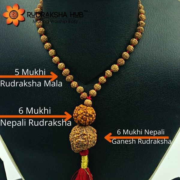 Rudraksha for Emotional Stability