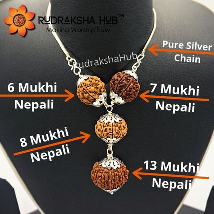 Rudraksha for Happy Married Life