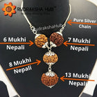 Rudraksha for Happy Married Life