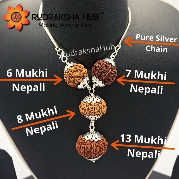 Rudraksha for Happy Married Life