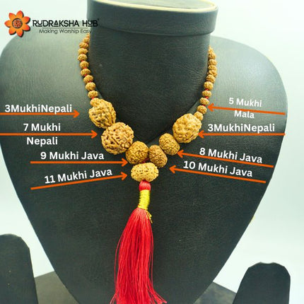 Rudraksha for Stability