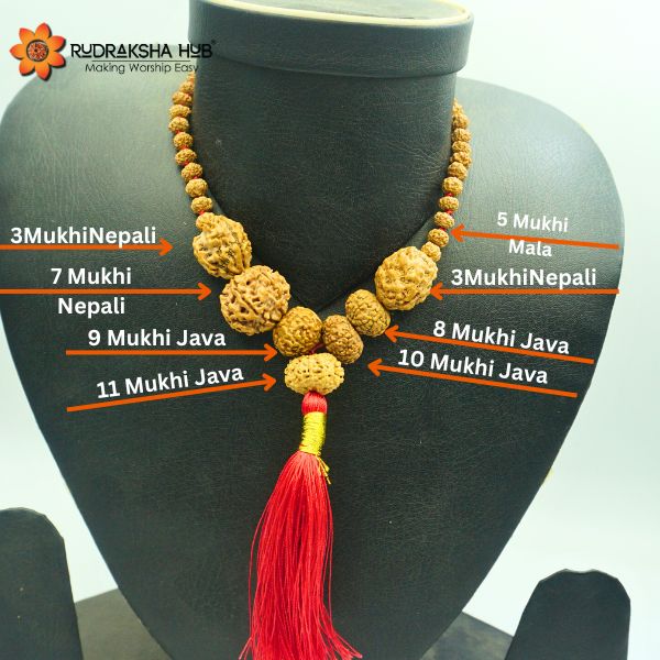 Rudraksha for Stability