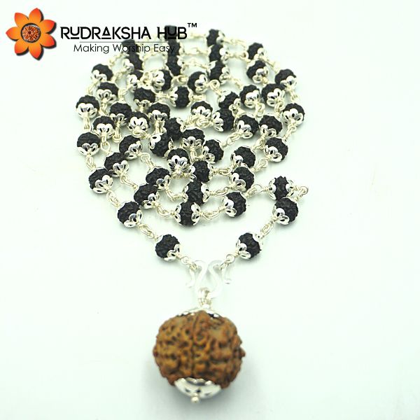 Rudraksha for Loans and Finances