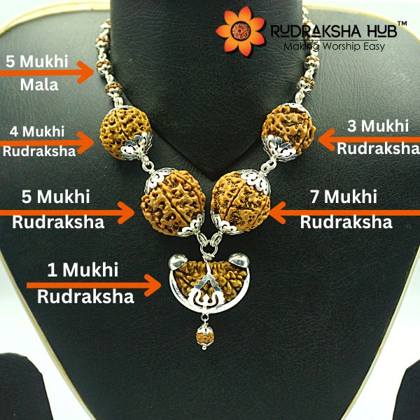 Rudraksha For Politicians