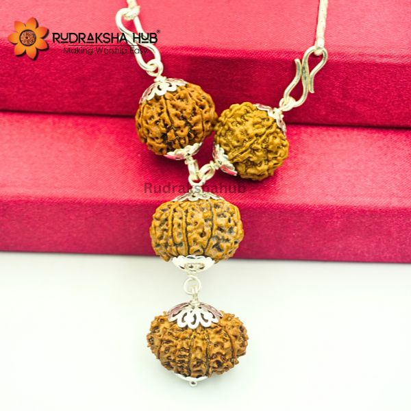 Rudraksha for Fame and Popularity