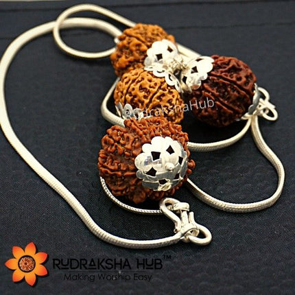 Rudraksha for Happy Married Life