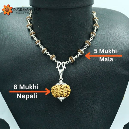 चांदी की माला में 8 मुखी रुद्राक्ष