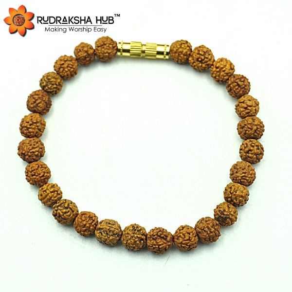 6 Mukhi Rudraksha Bracelet