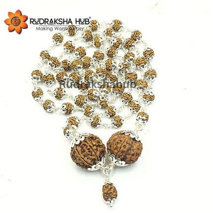 Rudraksha for Calmness